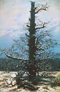 Caspar David Friedrich The Oak Tree in the Snow France oil painting artist